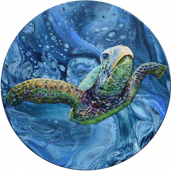 Loggerhead Sea Turtle