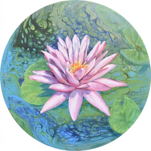 Pink Water Lily