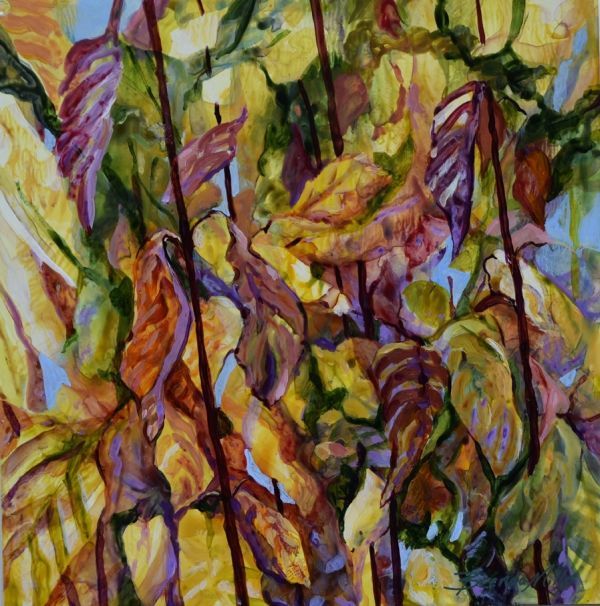 Fall Dogwoods III