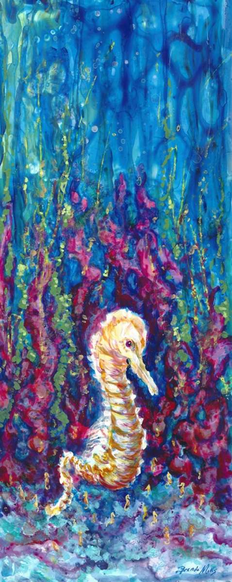 Sea Horse Daddy