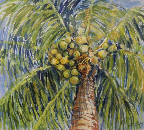 Palm