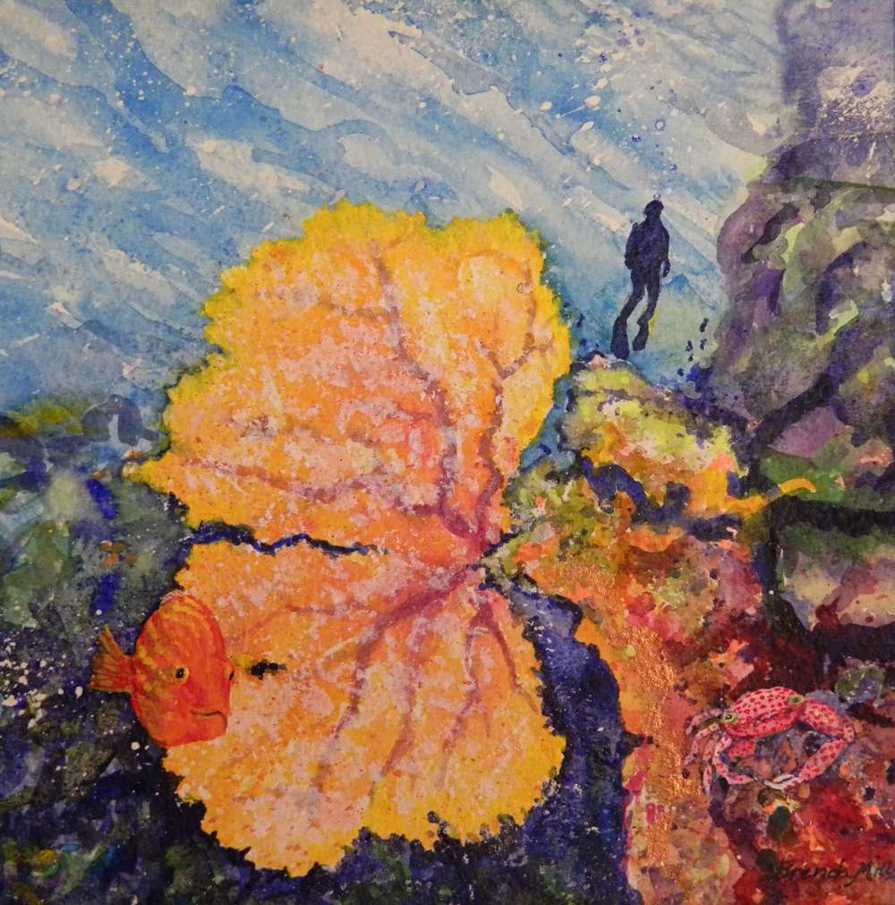 Sea Fan