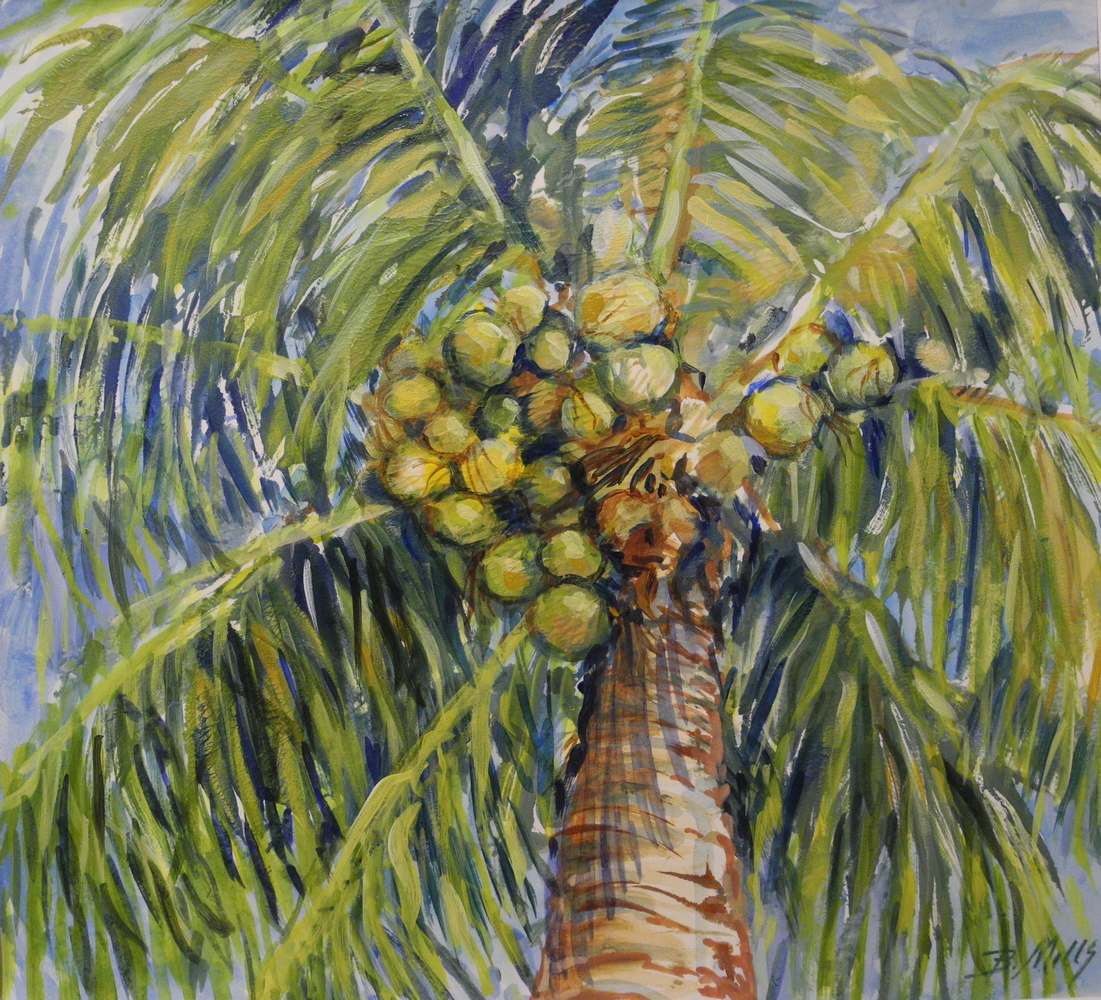 Palm